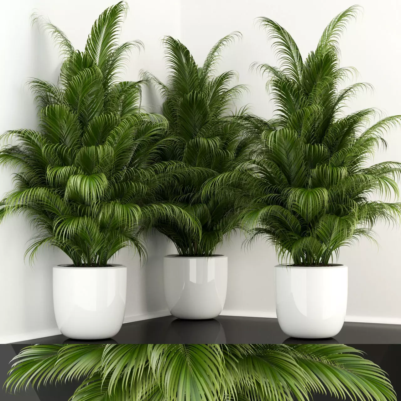 Plants collection 107  3D model_0