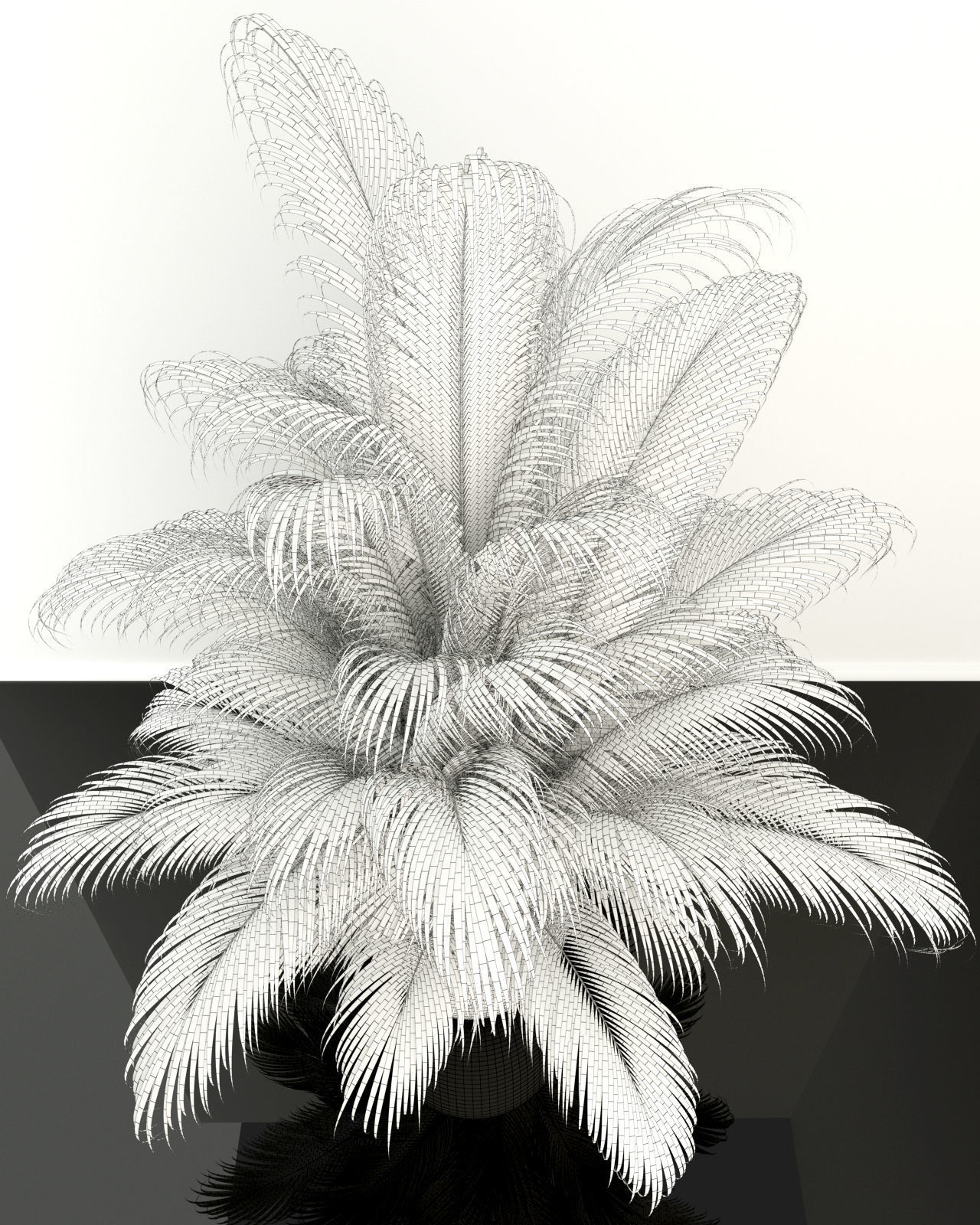 Plants collection 107  3D model_7