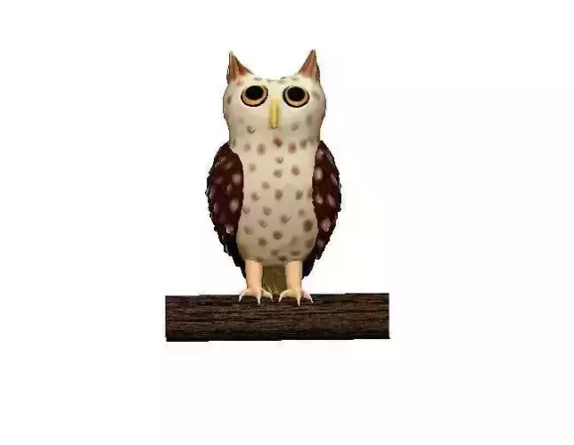 Joghd owl on branch