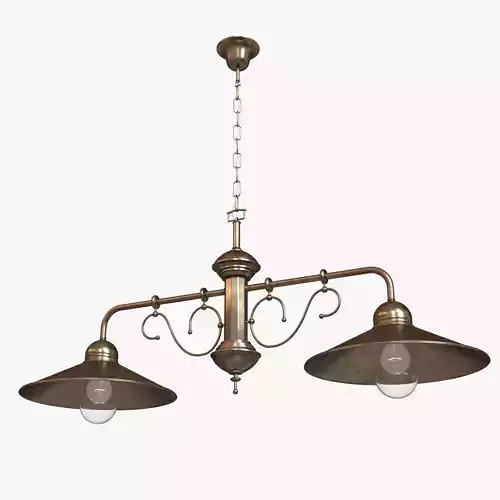 Chandelier light fixture with two lamps