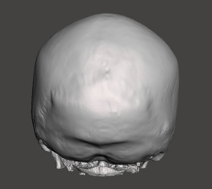 Skull female - age 78 Free 3D model_8