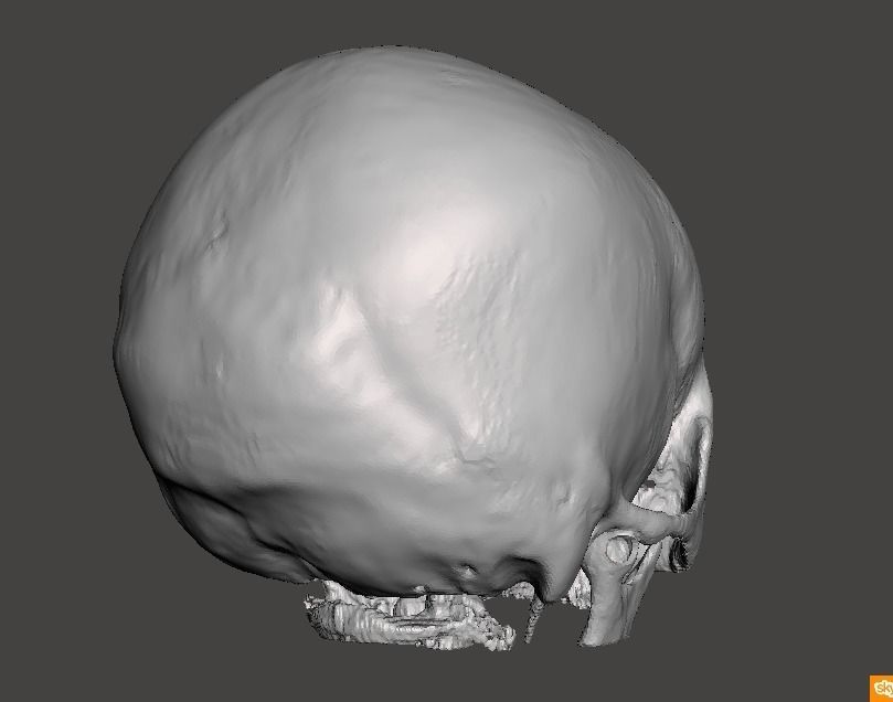 Skull female - age 78 Free 3D model_9