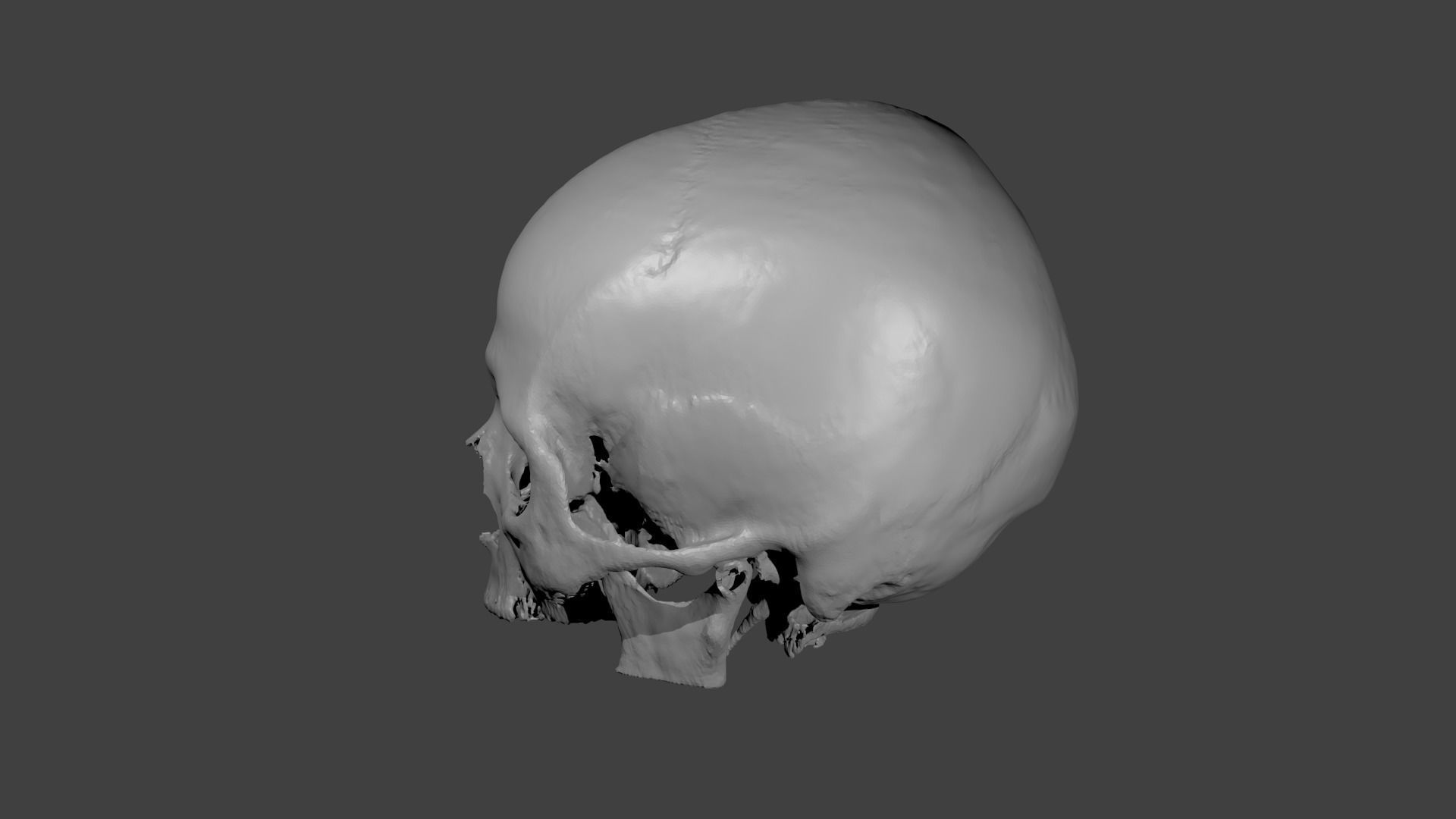 Skull female - age 78 Free 3D model_2