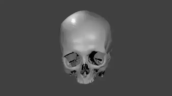 Skull female - age 78 Free 3D model