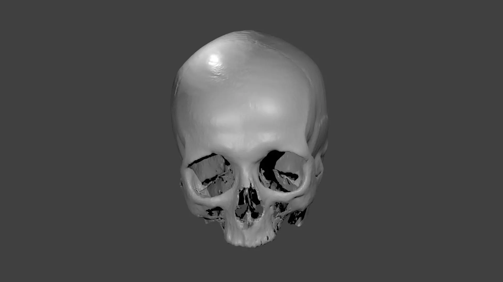 Skull female - age 78 Free 3D model_0