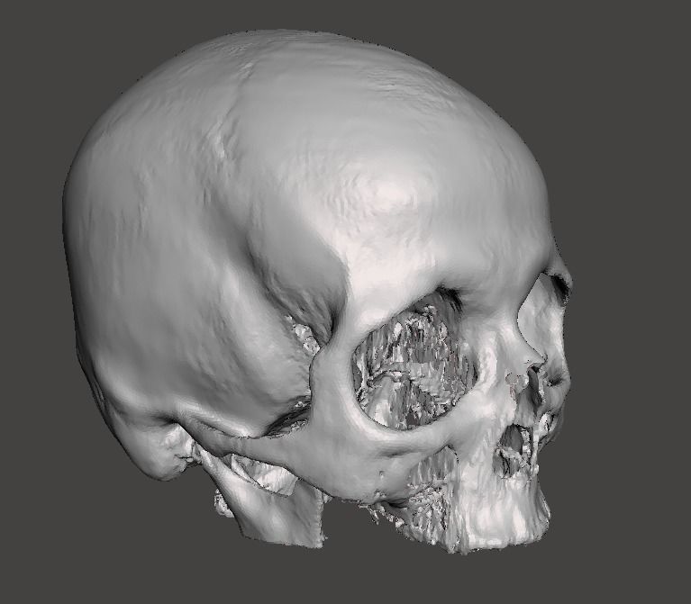 Skull female - age 78 Free 3D model_11