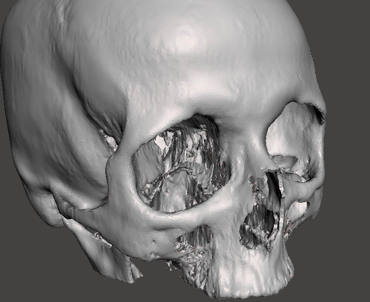 Skull female - age 78 Free 3D model_6