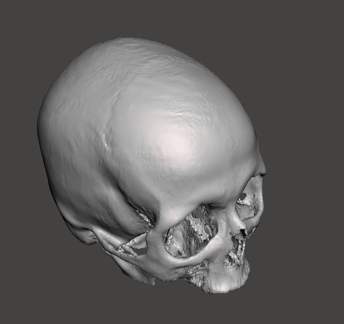 Skull female - age 78 Free 3D model_7