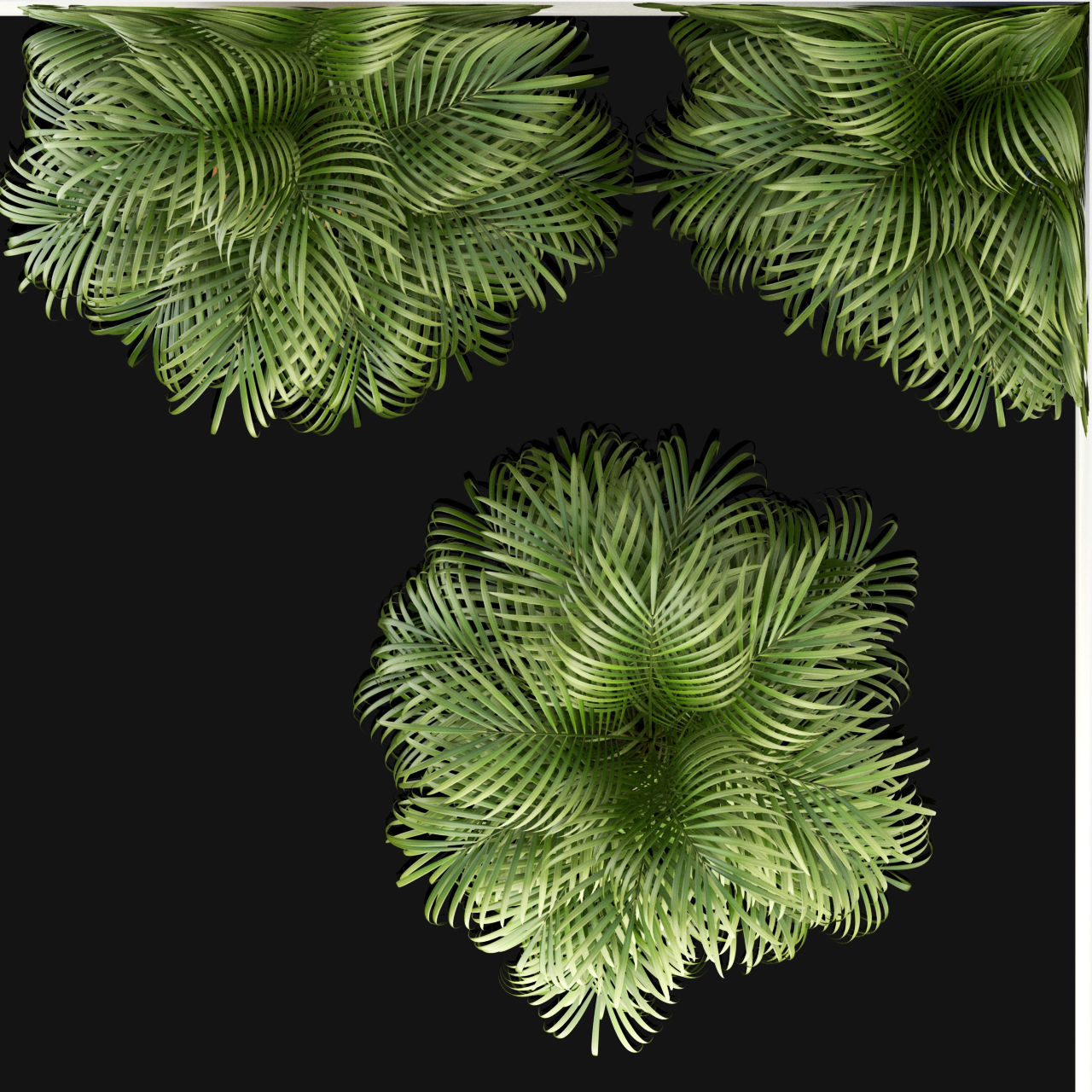 Plants collection 108 3D model_1