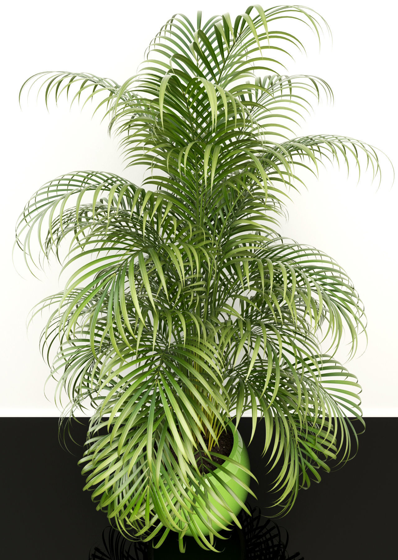 Plants collection 108 3D model_6