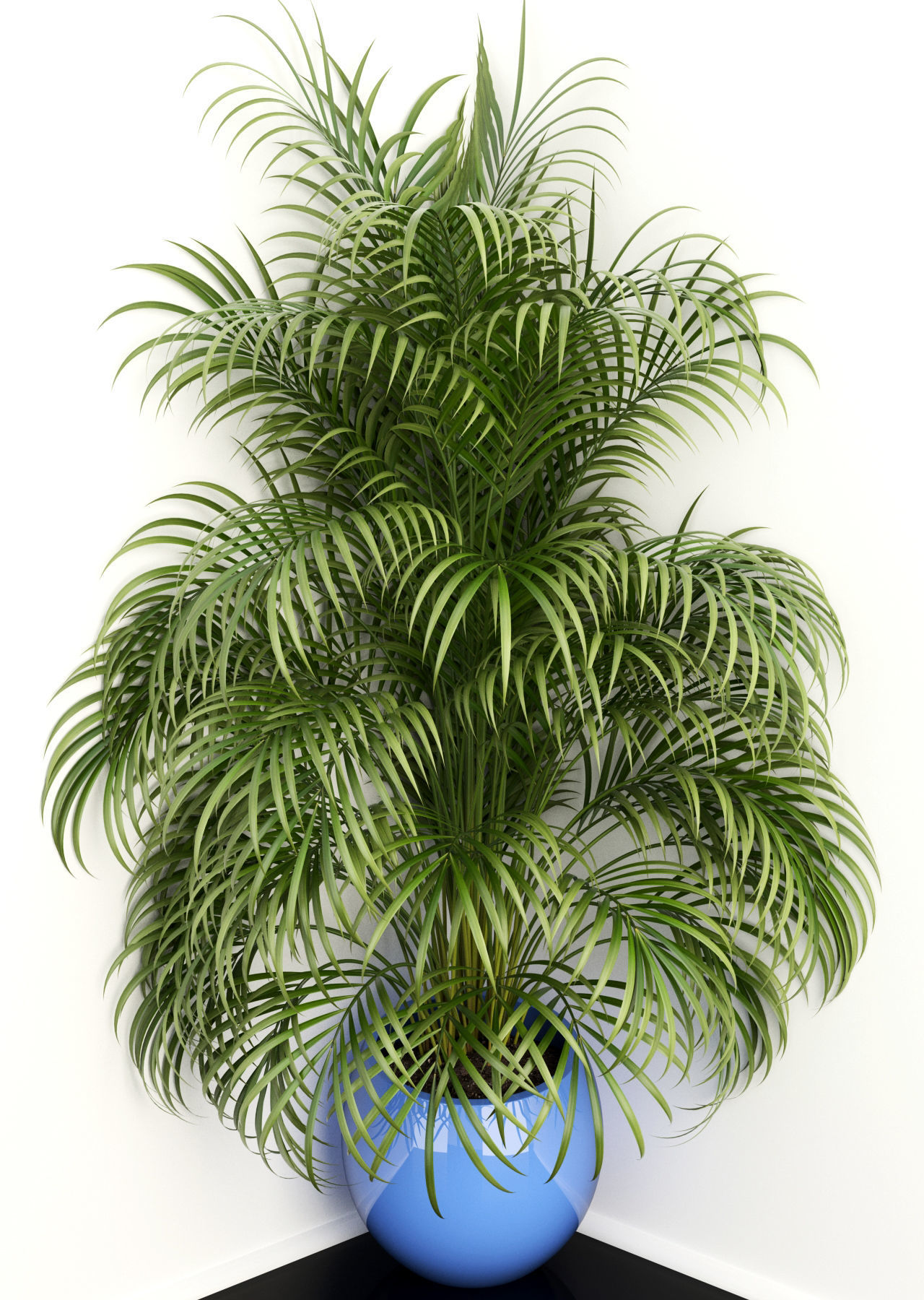 Plants collection 108 3D model_2