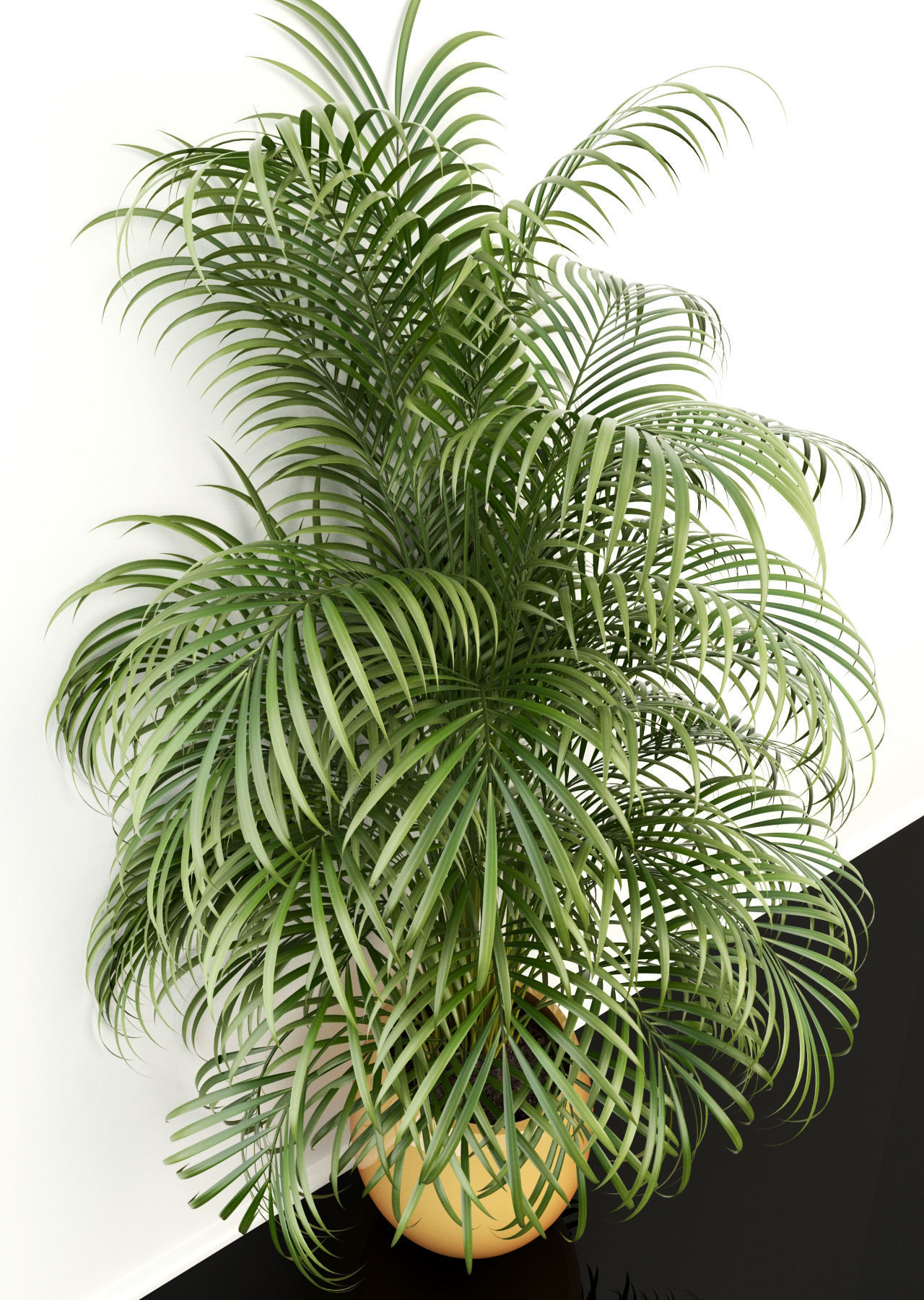 Plants collection 108 3D model_4