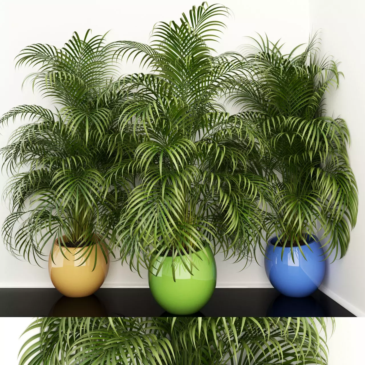 Plants collection 108 3D model_0