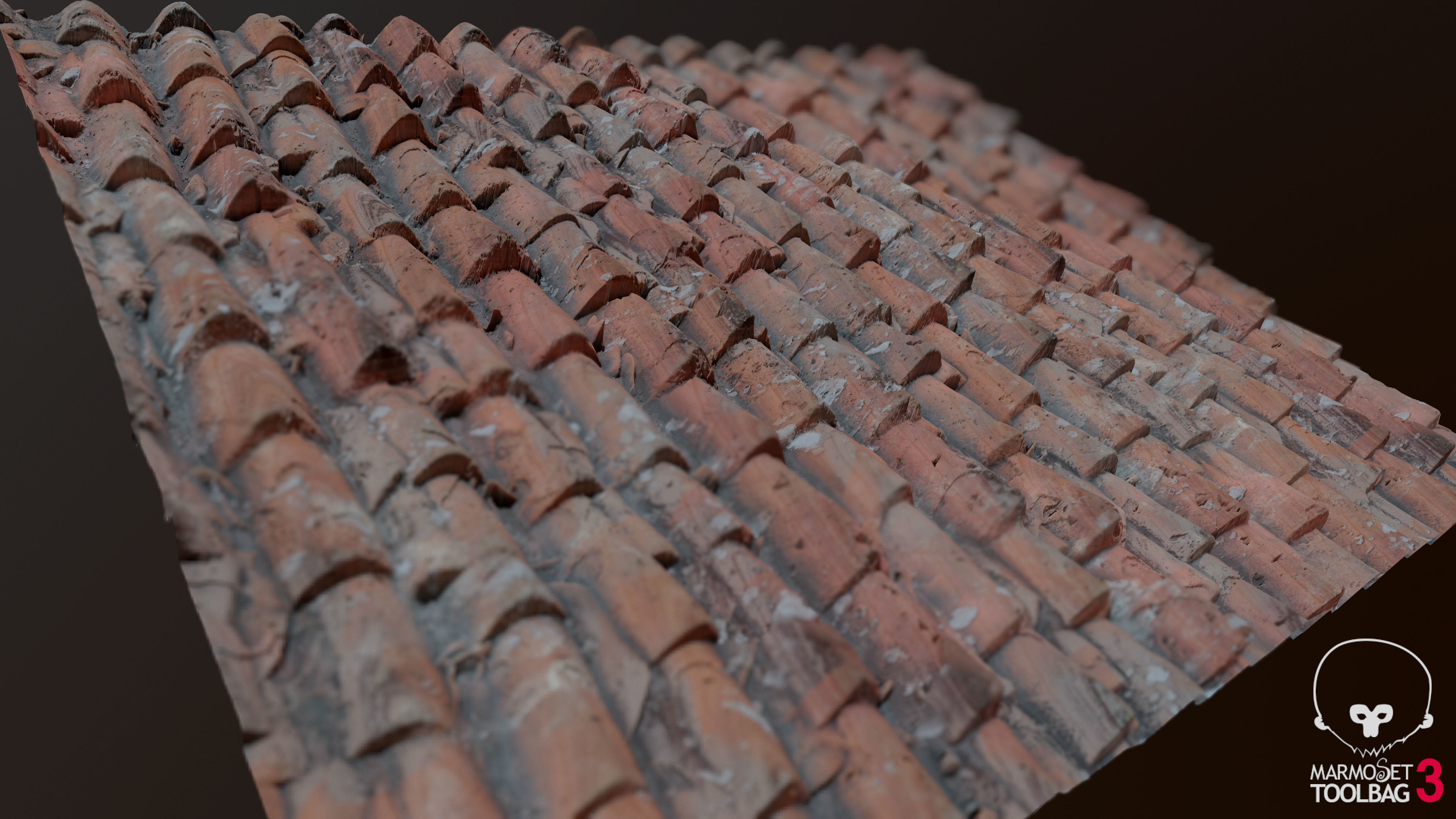 Ceramic Roof Tiles Texture_1