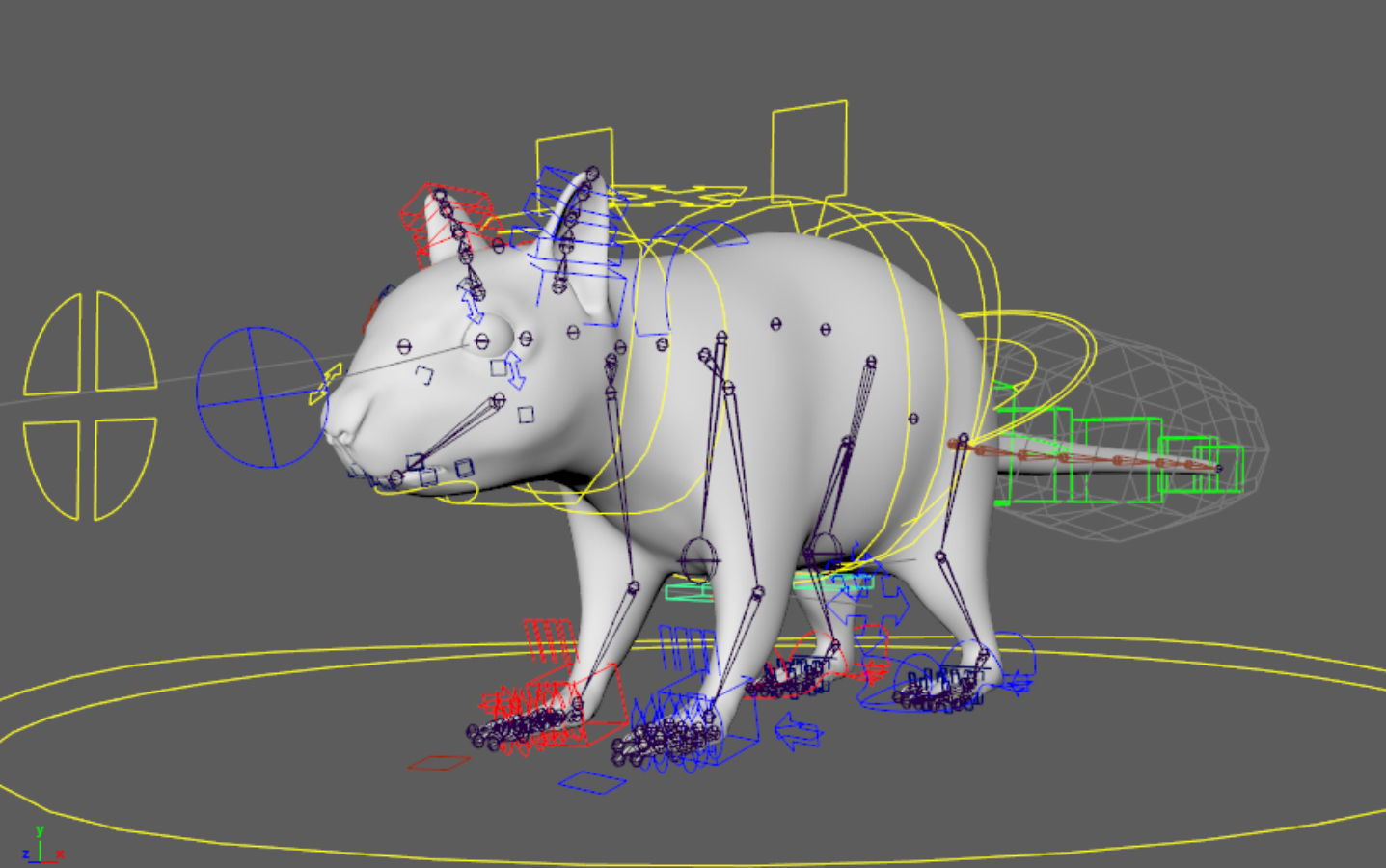 squirrel 3D model_10