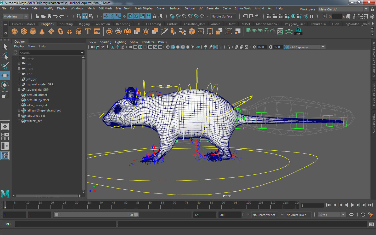 squirrel 3D model_11
