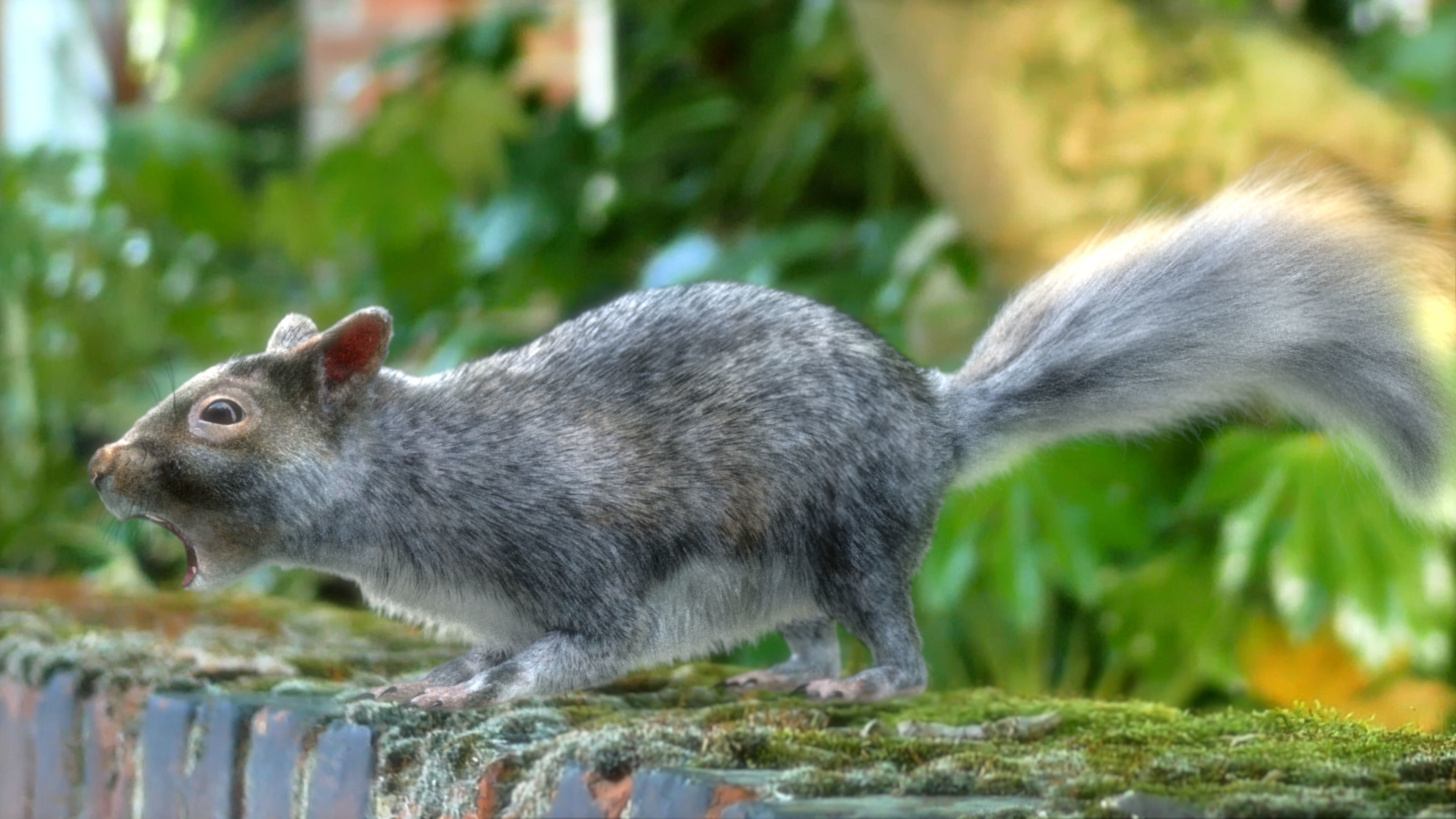 squirrel 3D model_15