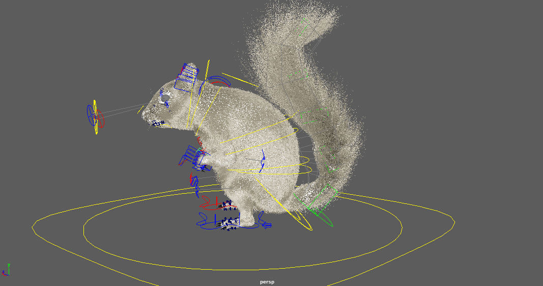 squirrel 3D model_16