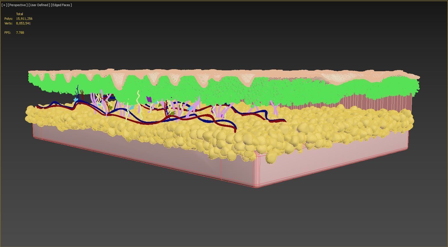 Skin Cross Section Wrinkled 3D model_9