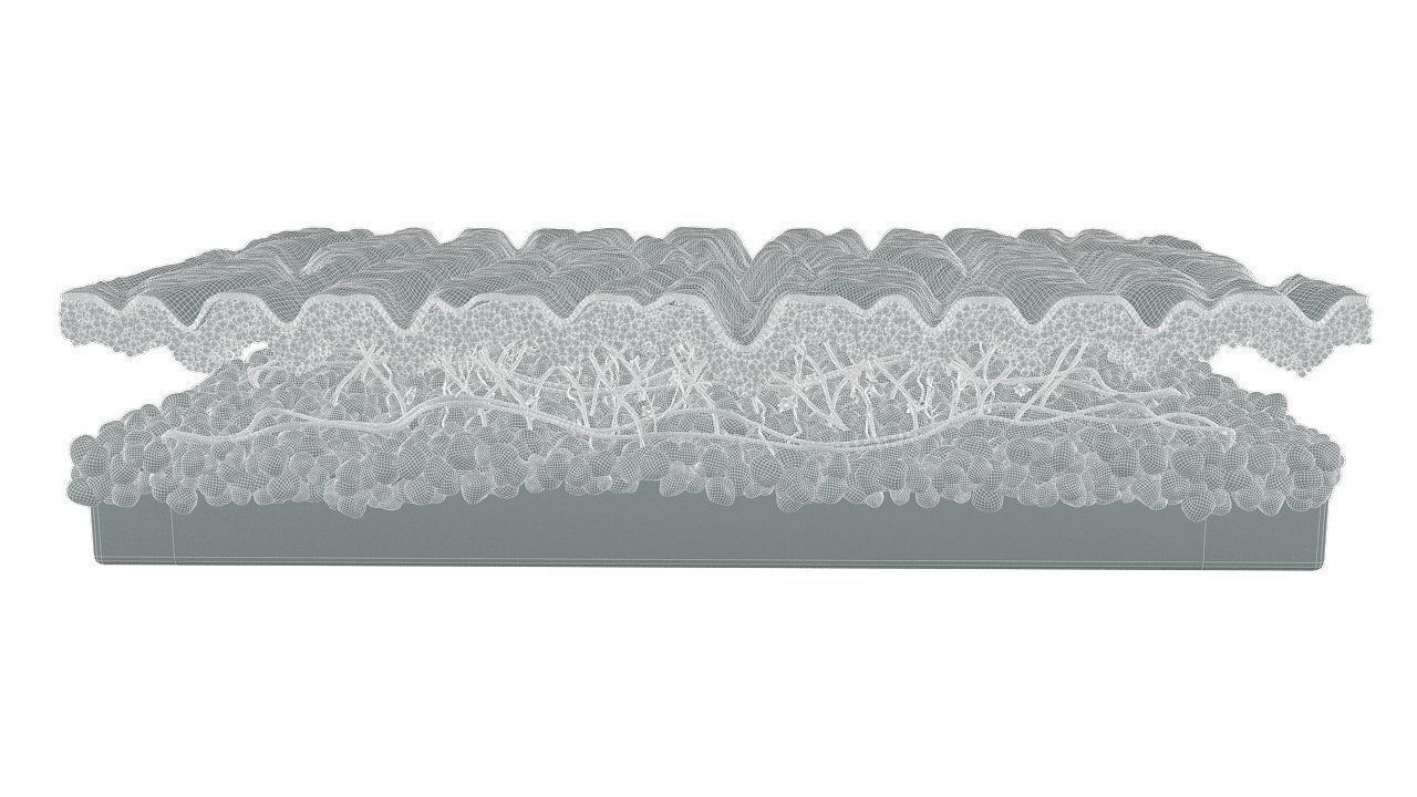 Skin Cross Section Wrinkled 3D model_7
