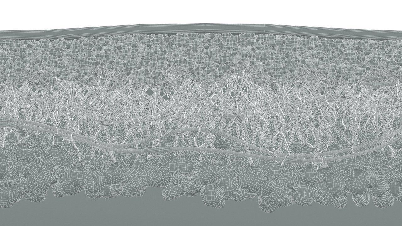 Skin Cross Section 3D model_9