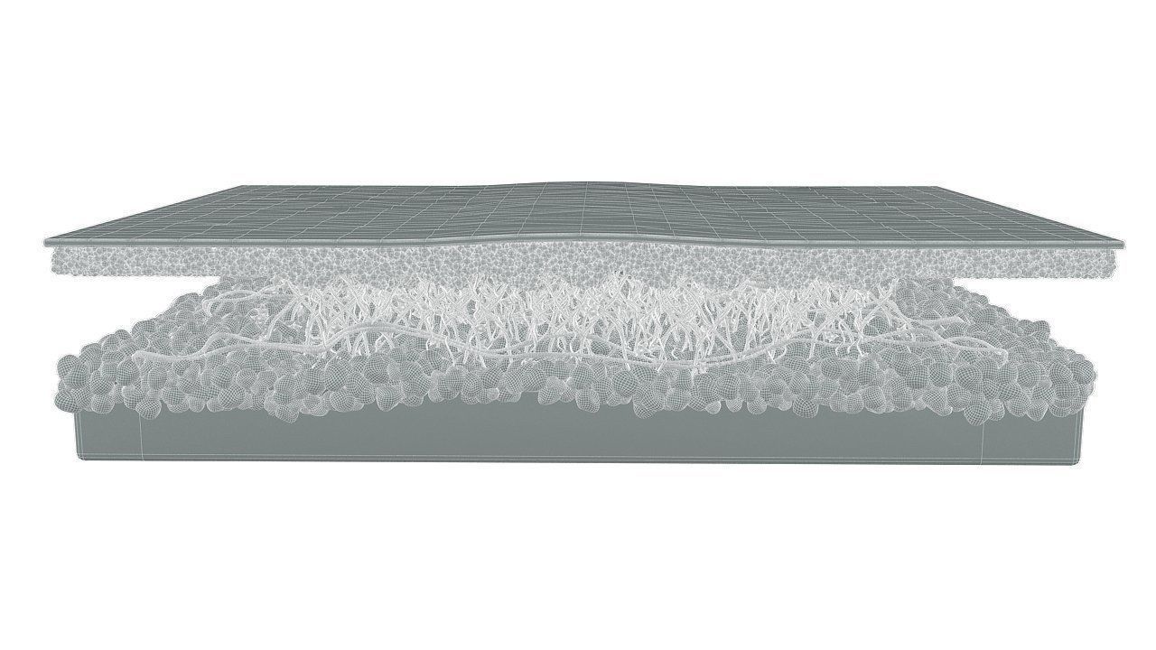 Skin Cross Section 3D model_10