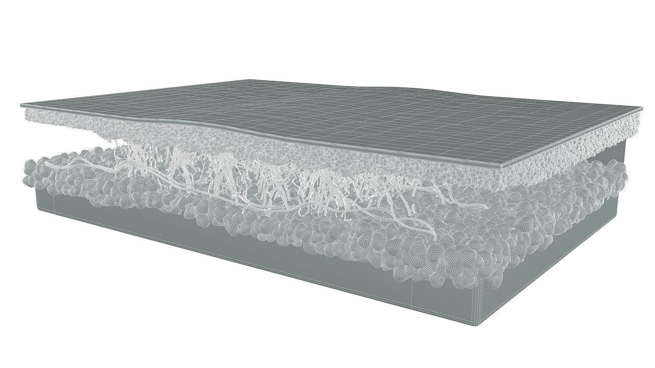 Skin Cross Section 3D model_11