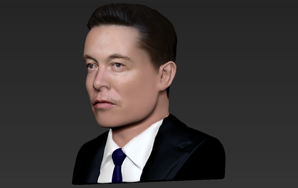 Elon Musk bust ready for full color 3D printing 3D print model_16
