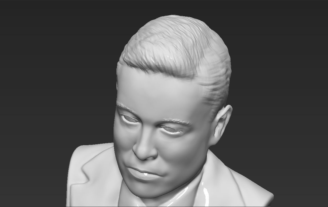 Elon Musk bust ready for full color 3D printing 3D print model_38