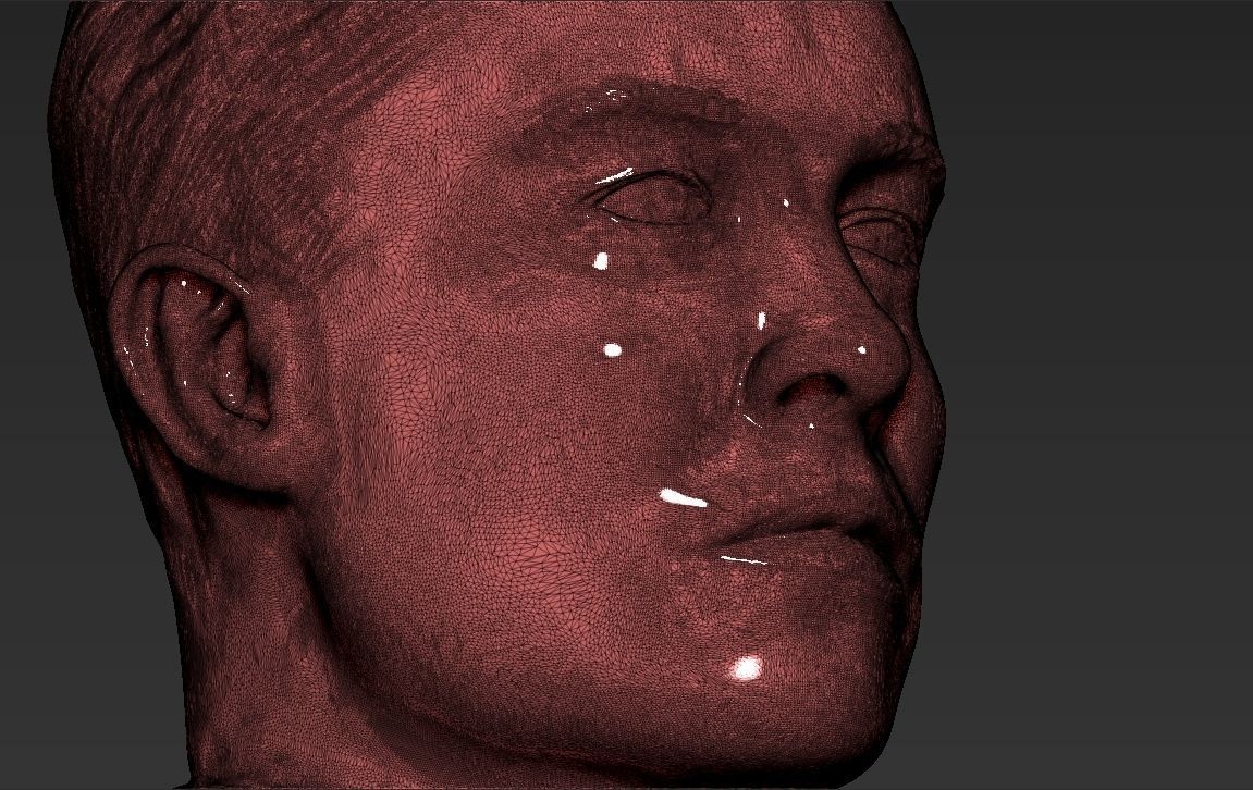 Elon Musk bust ready for full color 3D printing 3D print model_46