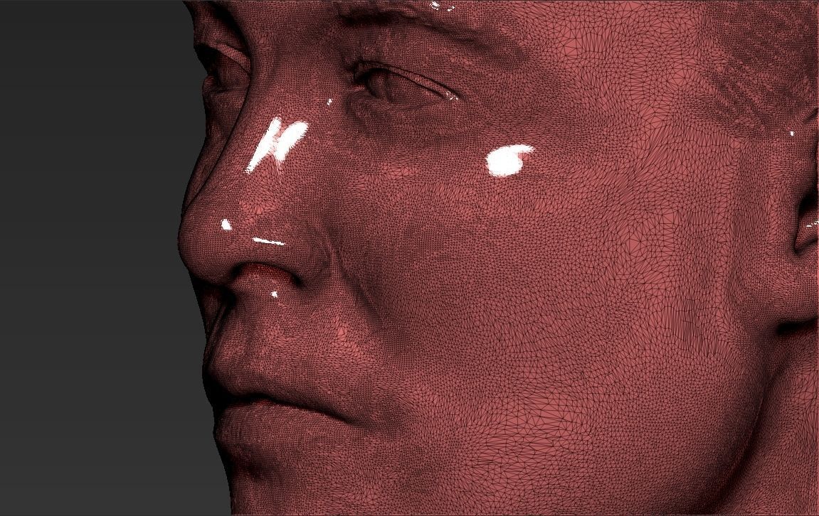 Elon Musk bust ready for full color 3D printing 3D print model_44