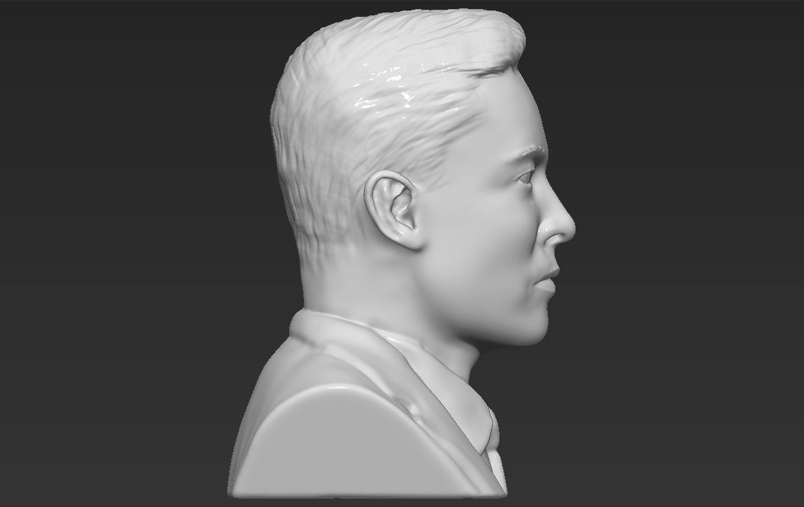 Elon Musk bust ready for full color 3D printing 3D print model_36