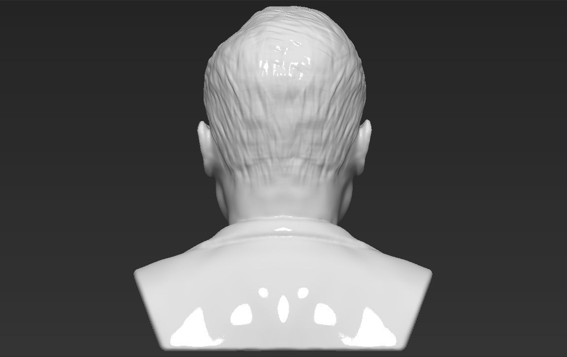 Elon Musk bust ready for full color 3D printing 3D print model_26