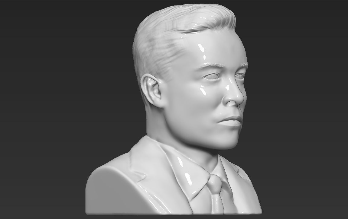Elon Musk bust ready for full color 3D printing 3D print model_29