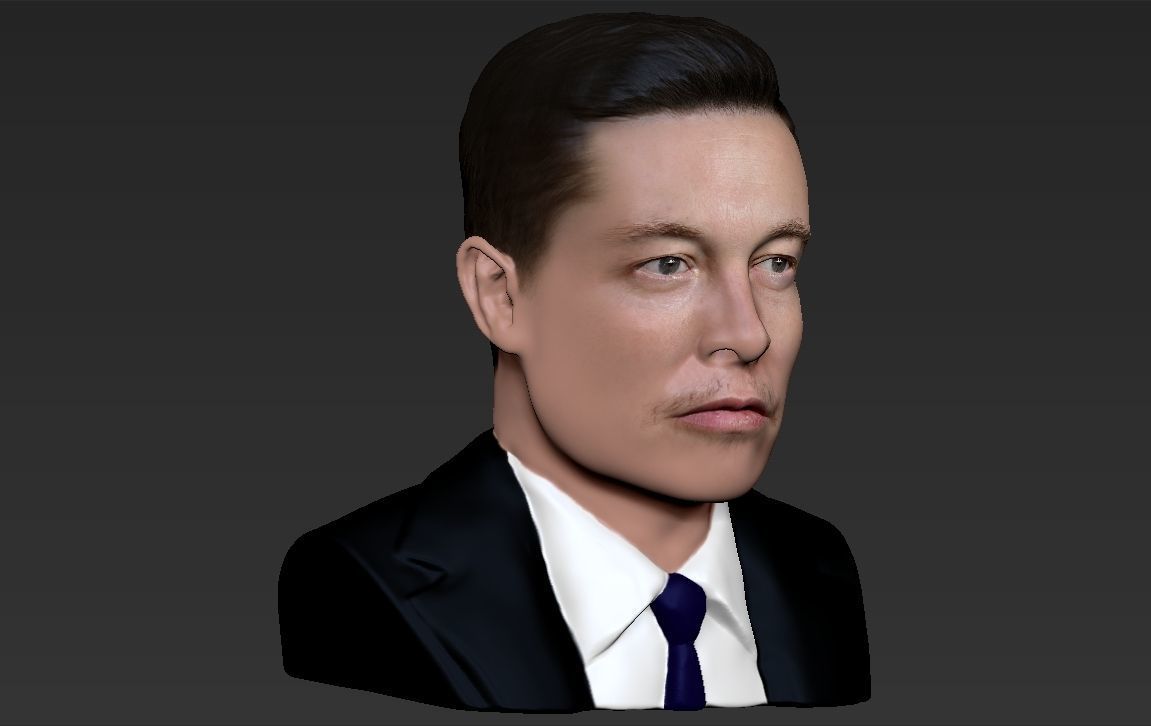 Elon Musk bust ready for full color 3D printing 3D print model_17