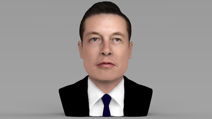 Elon Musk bust ready for full color 3D printing 3D print model