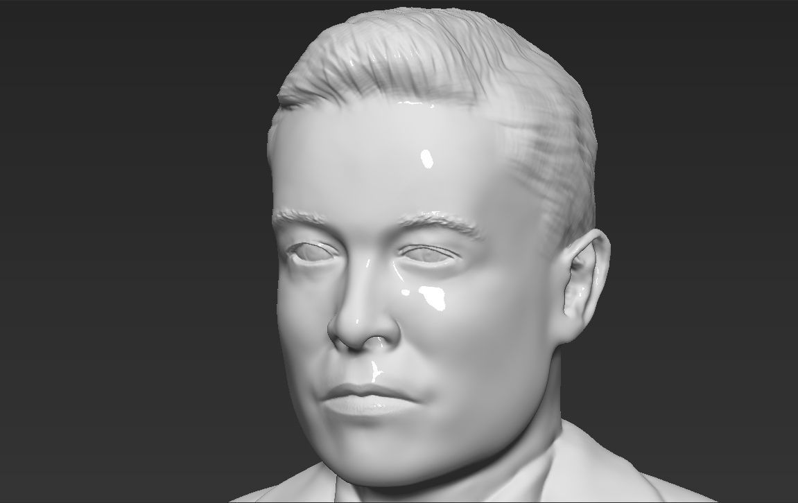 Elon Musk bust ready for full color 3D printing 3D print model_35