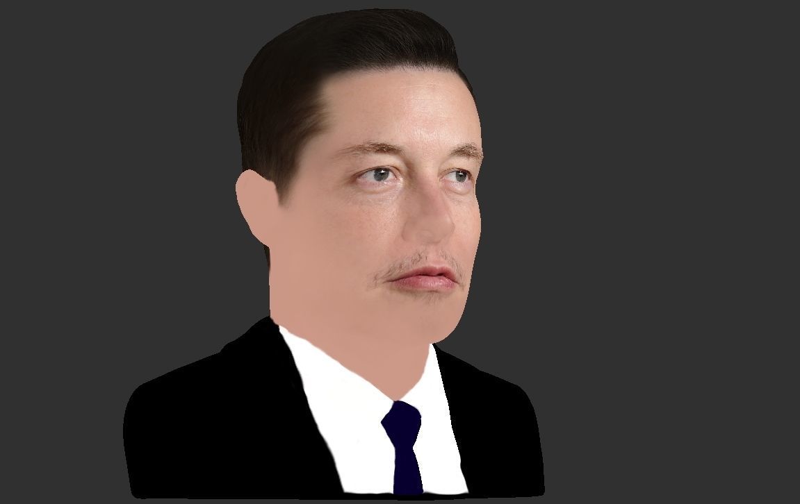 Elon Musk bust ready for full color 3D printing 3D print model_20