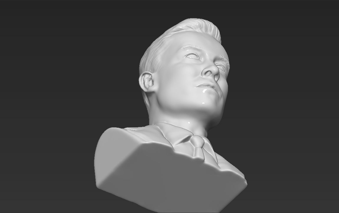 Elon Musk bust ready for full color 3D printing 3D print model_39