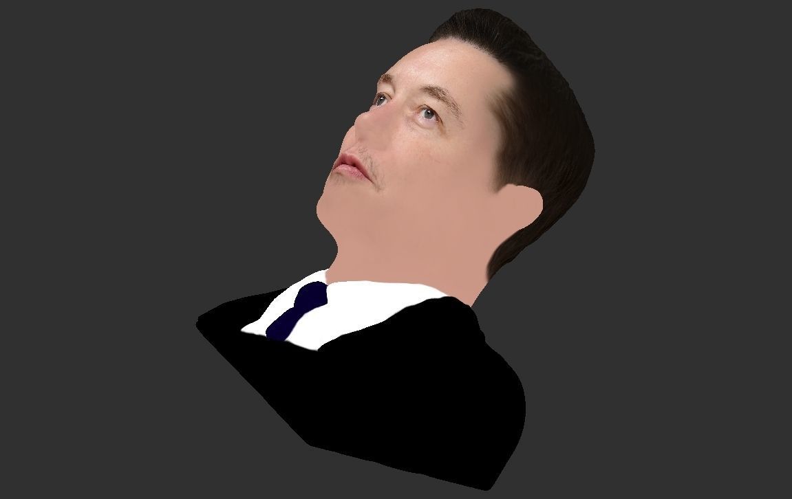 Elon Musk bust ready for full color 3D printing 3D print model_21