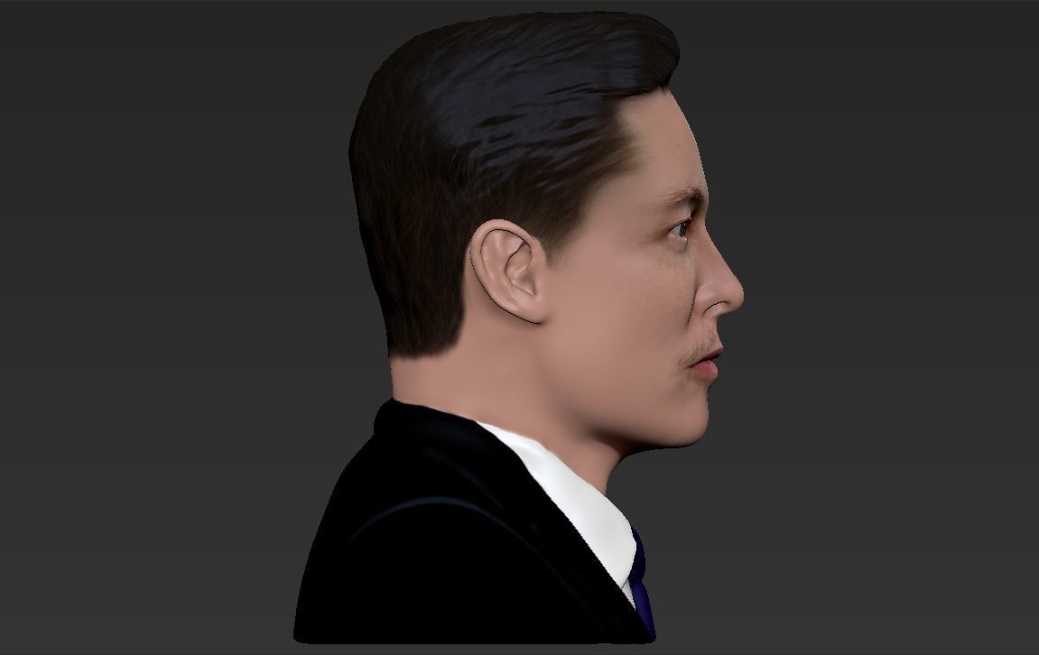 Elon Musk bust ready for full color 3D printing 3D print model_18