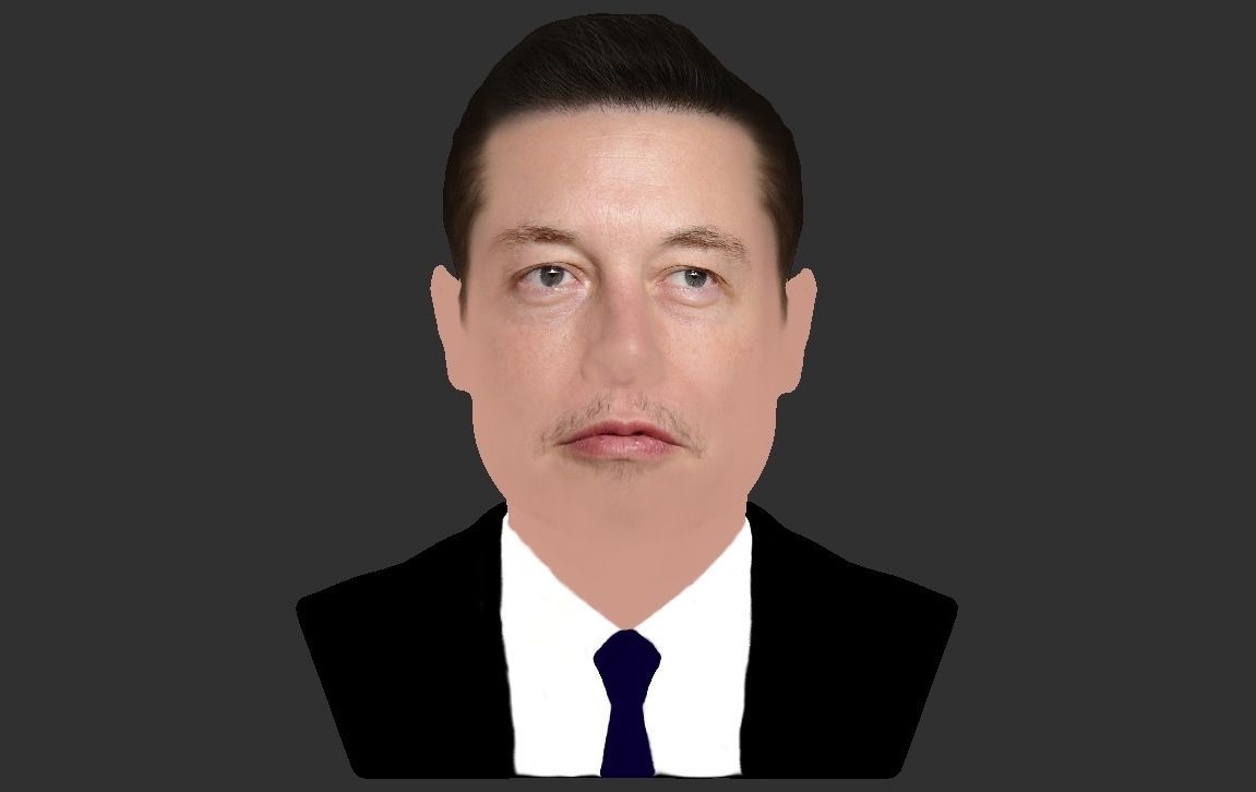 Elon Musk bust ready for full color 3D printing 3D print model_19
