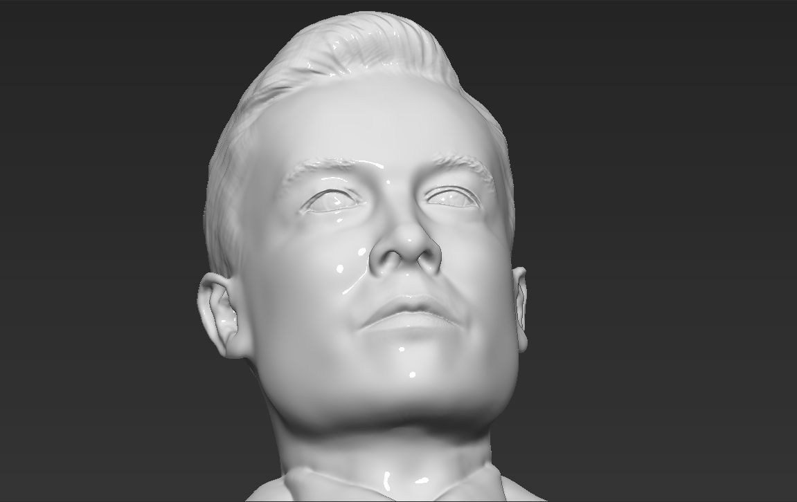 Elon Musk bust ready for full color 3D printing 3D print model_40