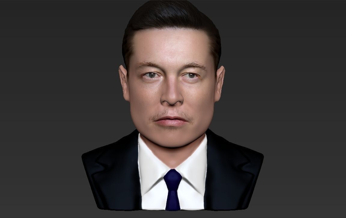 Elon Musk bust ready for full color 3D printing 3D print model_15