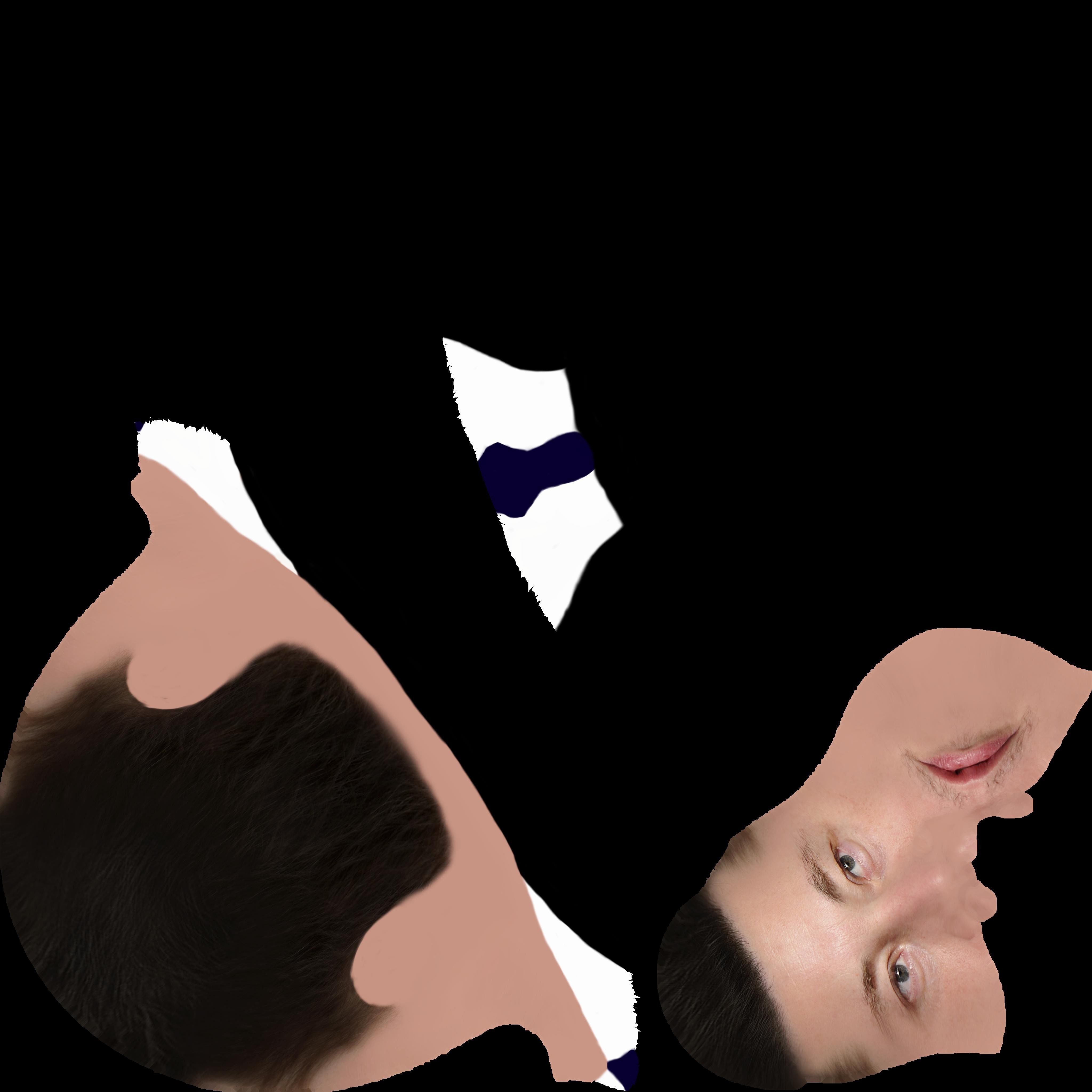 Elon Musk bust ready for full color 3D printing 3D print model_47