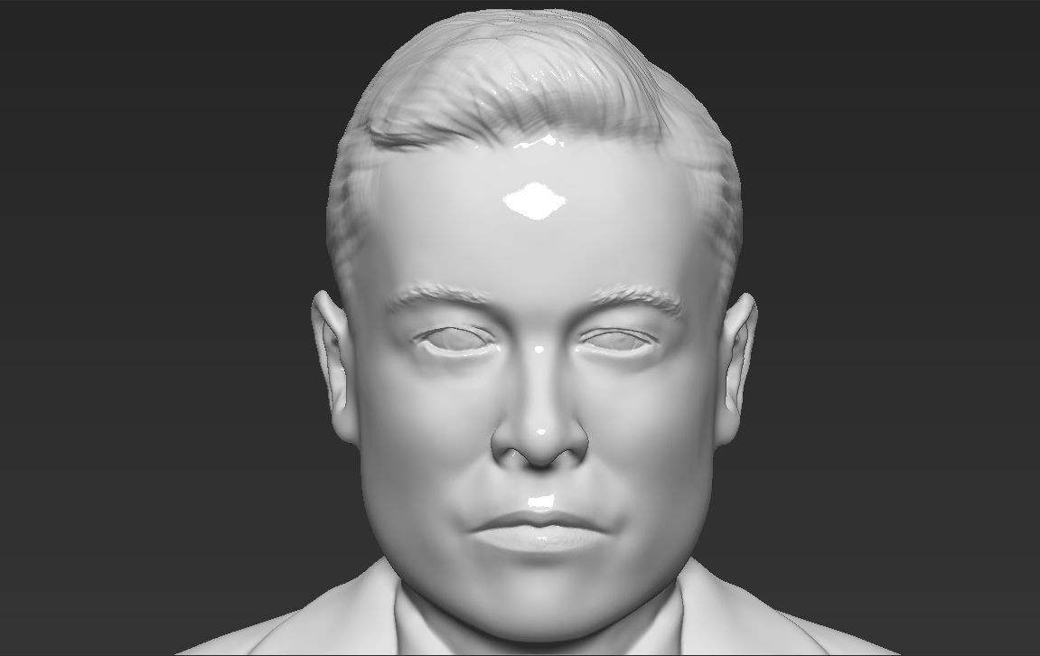 Elon Musk bust ready for full color 3D printing 3D print model_32