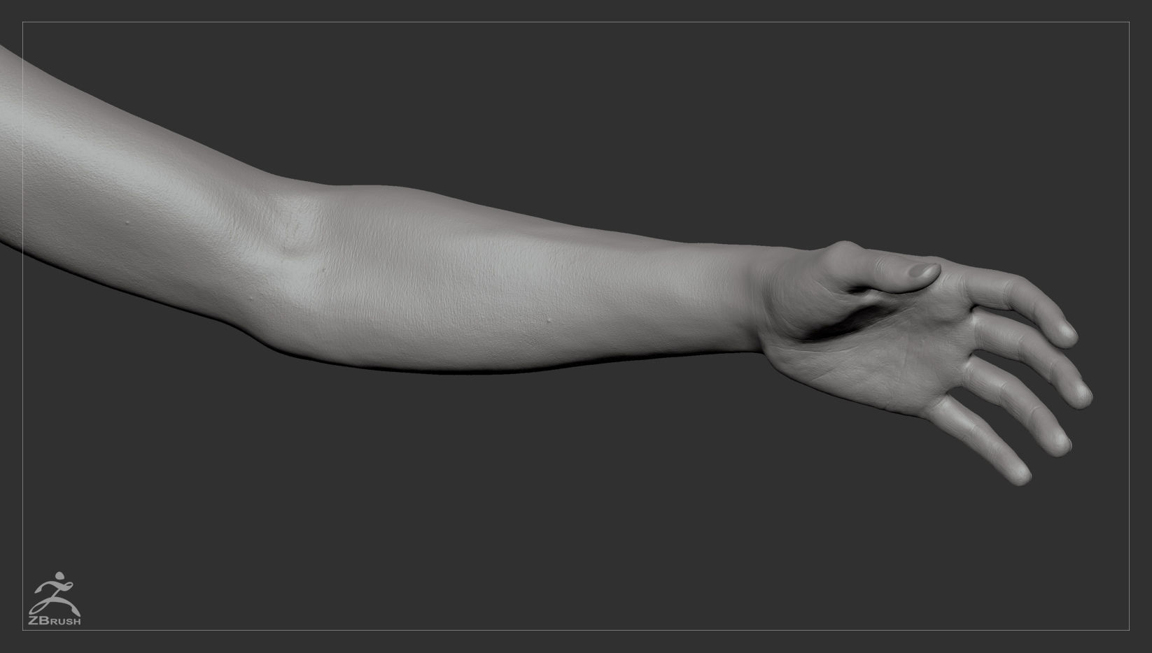 Average Body Basemesh Set 3D model_9