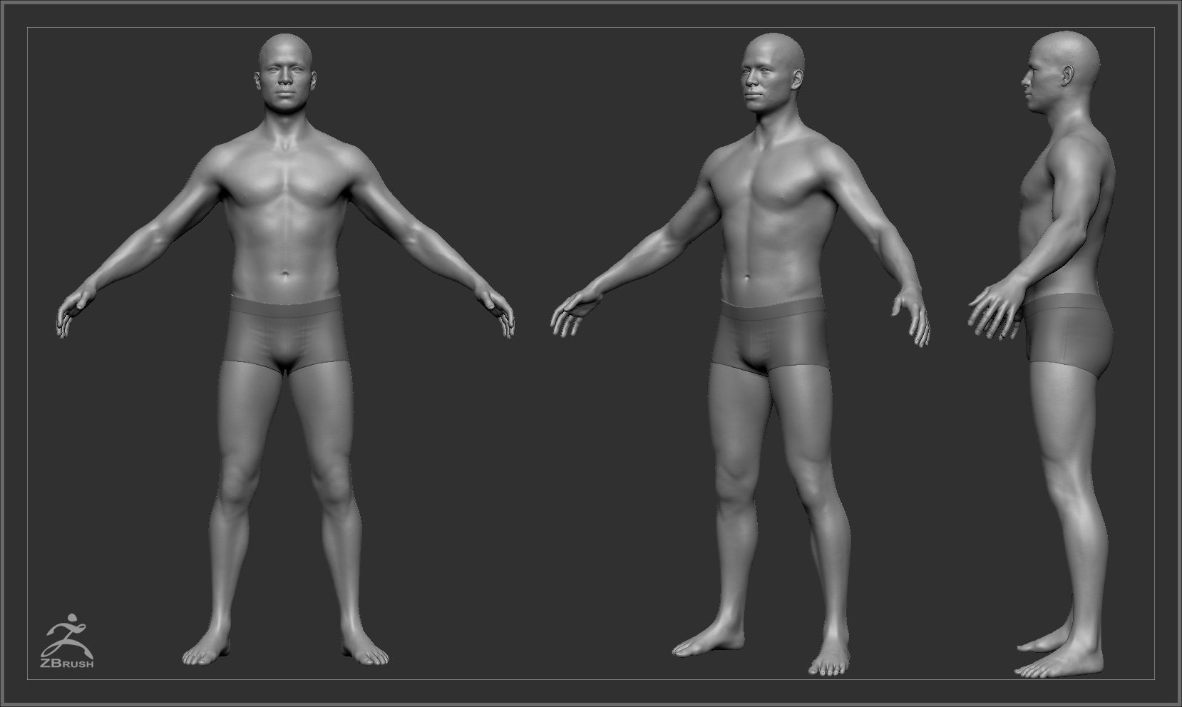 Average Body Basemesh Set 3D model_22