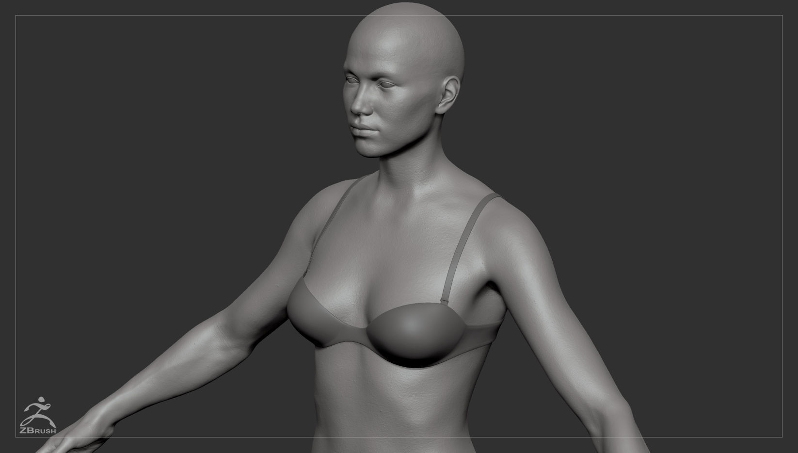 Average Body Basemesh Set 3D model_4