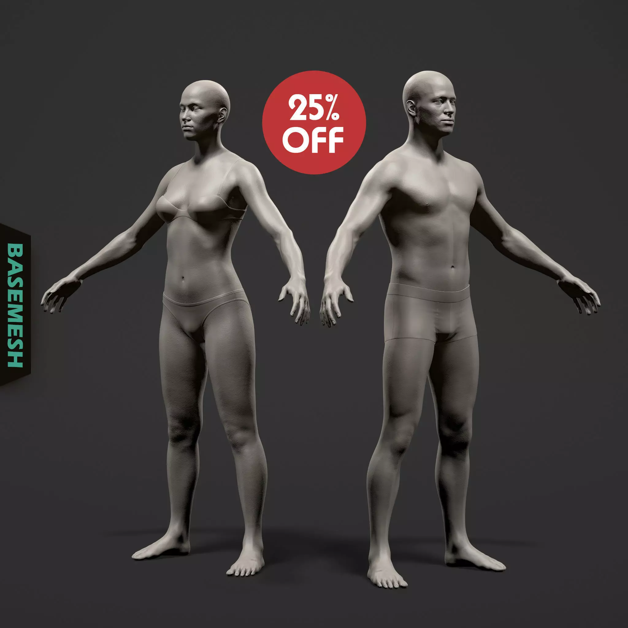 Average Body Basemesh Set 3D model_0